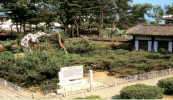 본궁 정전 전면에 있는 함흥반송. 천연기념물 제252로 지정되어 보호 관리되고 있다.(사진-조선향토대백과)