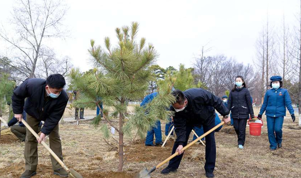 북한 주민들이 3월 2일 식수절(식목일)을 맞이하여 나무를 심고 있다(사진 조선의오늘)